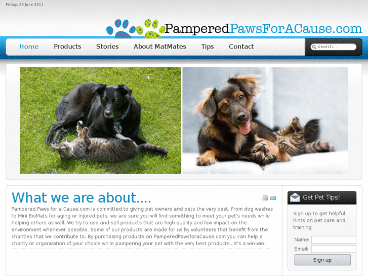 www.pamperedpawsforacause.com