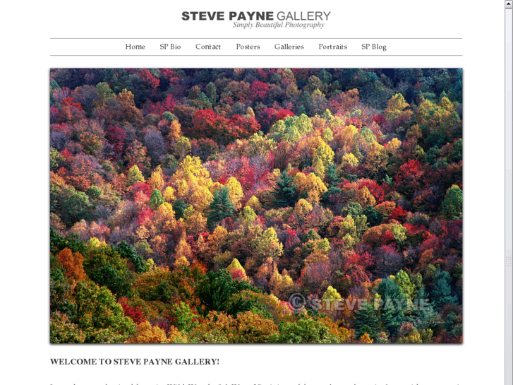 www.stevepaynegallery.net