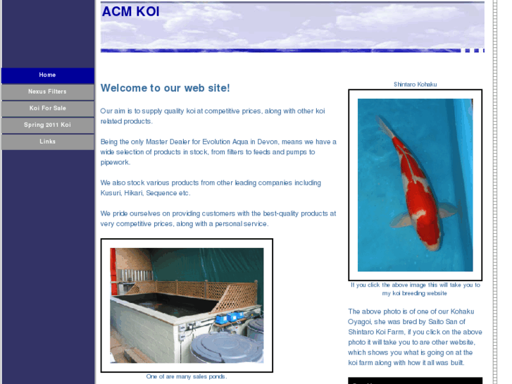 www.acmkoi.com