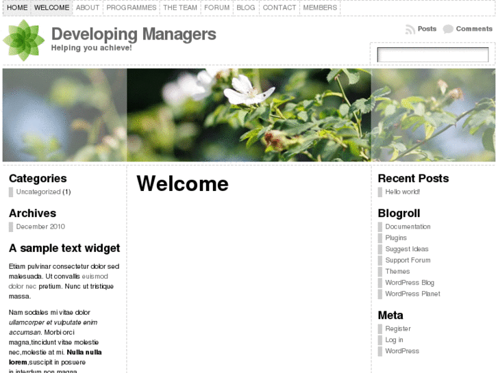 www.developingmanagers.org