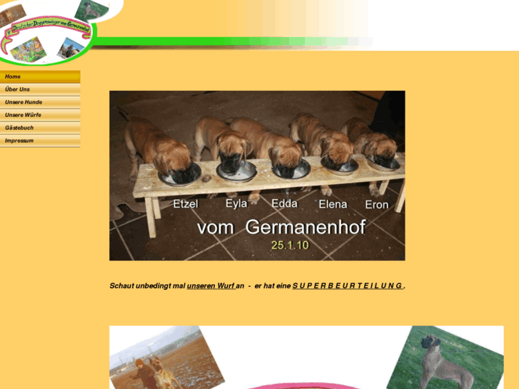 www.doggenzwinger-germanenhof.com