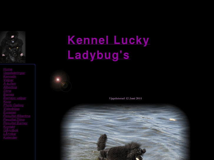 www.kennel-luckyladybugs.com