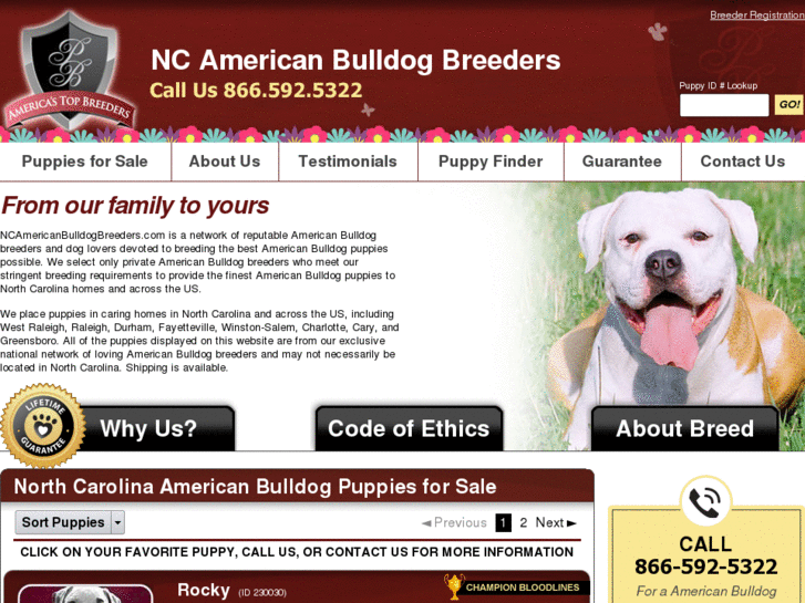 www.ncamericanbulldogbreeders.com