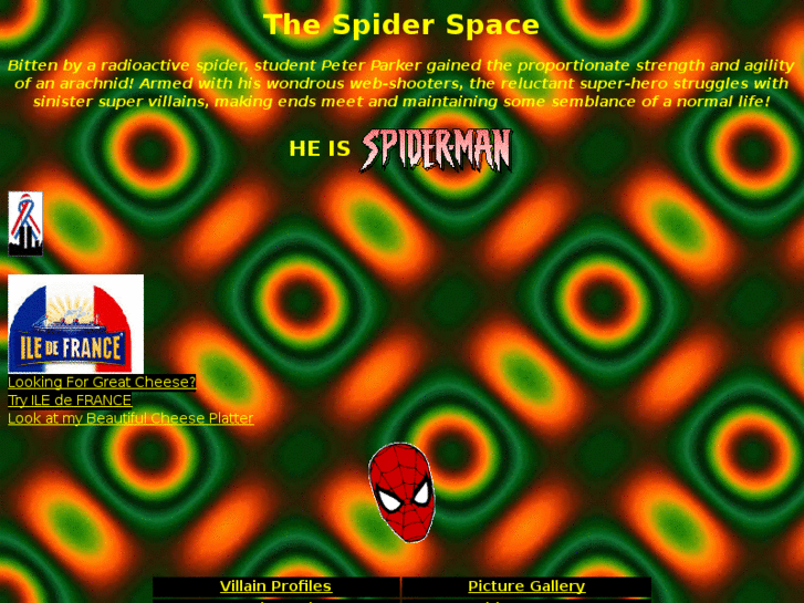 www.thespiderspace.com
