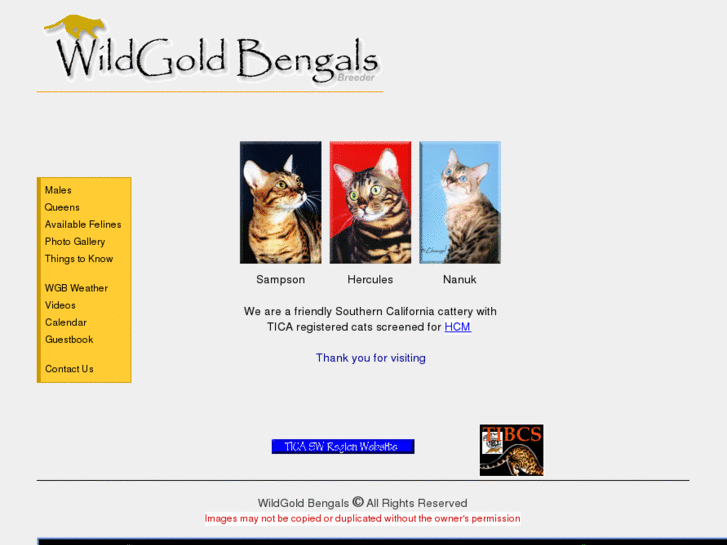 www.wildgoldbengals.com