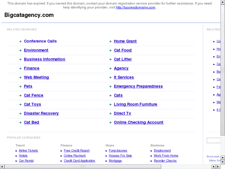 www.bigcatagency.com