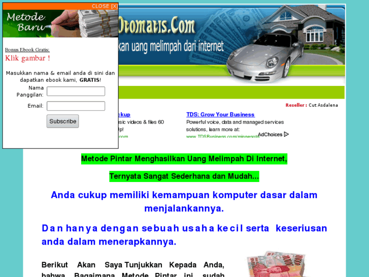 www.bisnis-pintar-otomatis.com