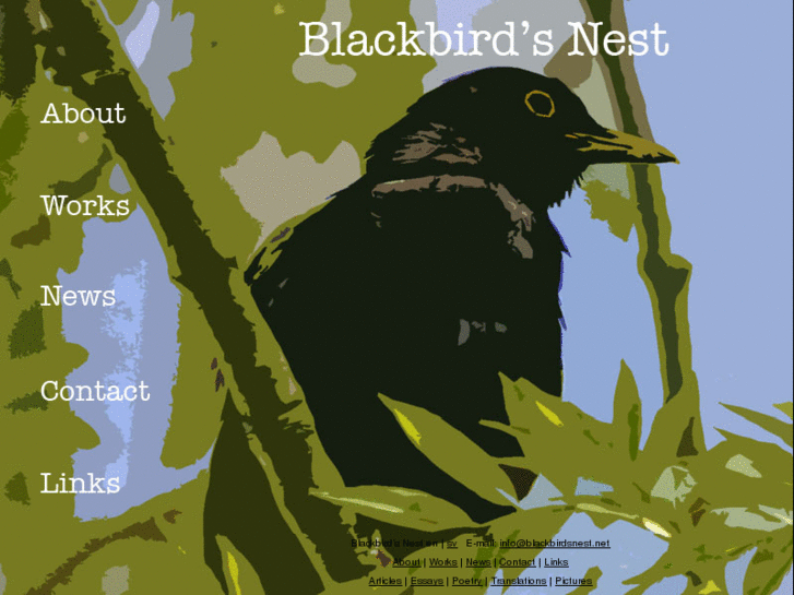 www.blackbirdsnest.net