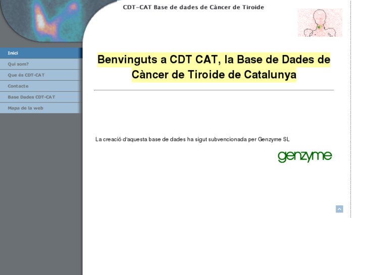 www.cdt-cat.com