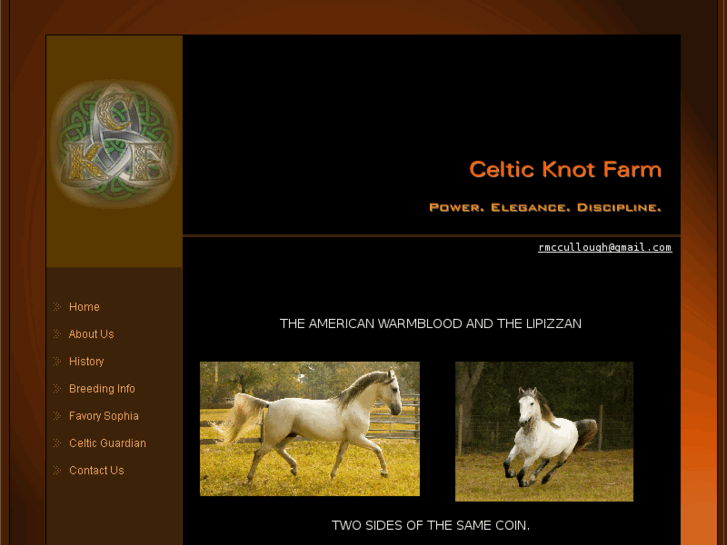 www.celticknotstallions.com