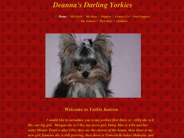 www.deanna-yorkiebabies.com