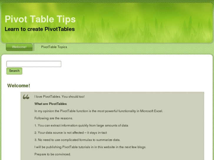 www.pivottabletips.com