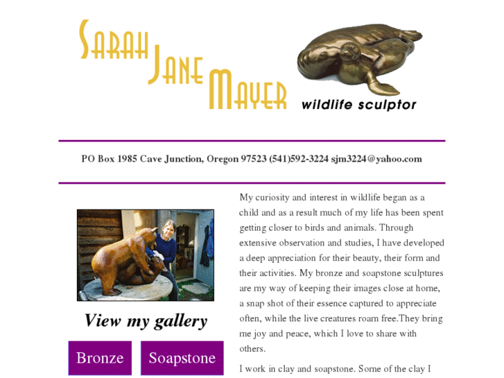 www.sarahjmayer.com