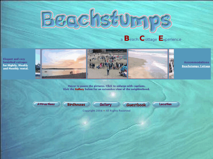 www.beachstumps.com