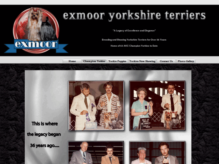 www.exmooryorkies.com