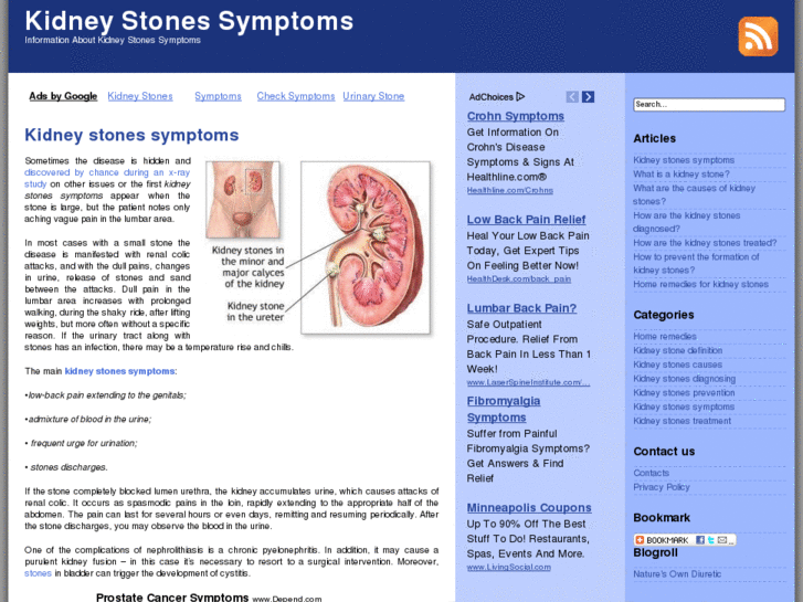 www.kidneystonessymptoms.org