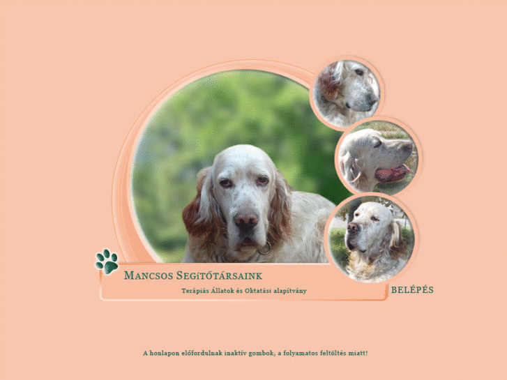 www.mancsosok.hu