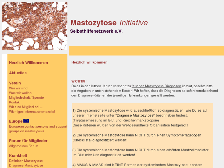 www.mastozytose.com