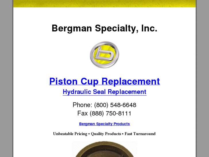 www.pistoncupreplacement.com