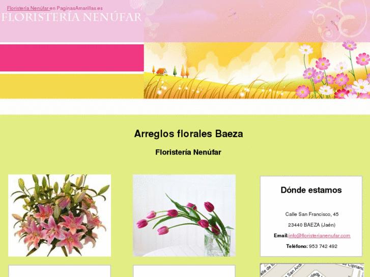 www.floristerianenufar.com