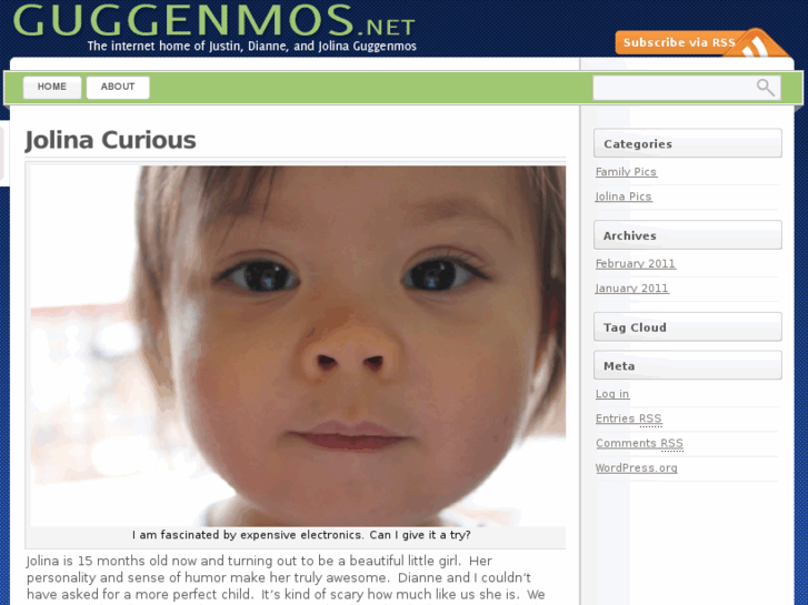 www.guggenmos.net