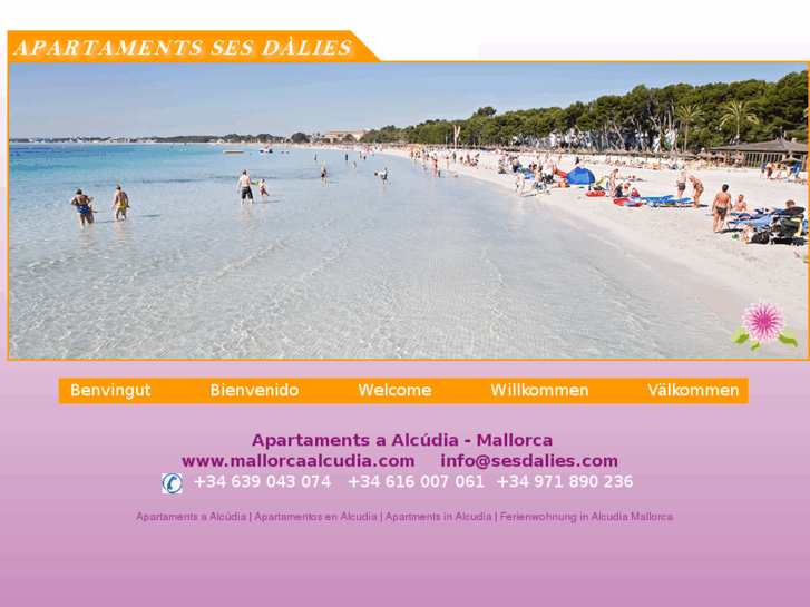 www.mallorcaalcudia.com