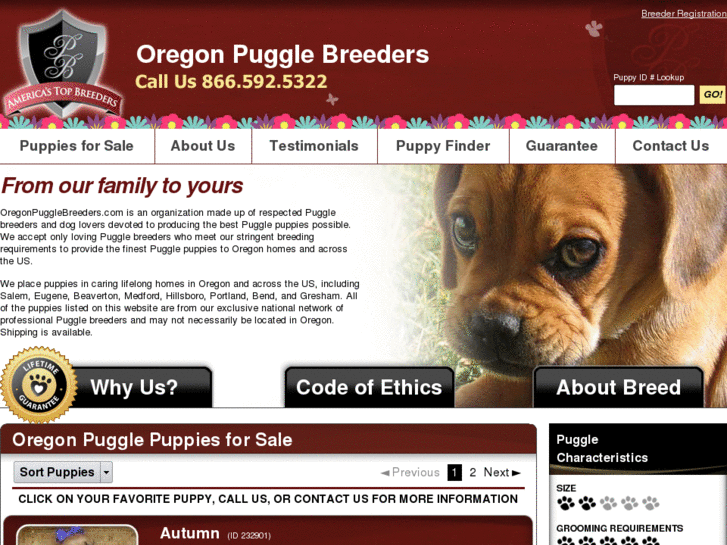 www.oregonpugglebreeders.com