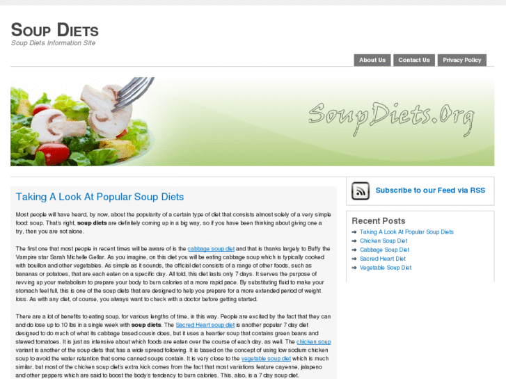 www.soupdiets.org