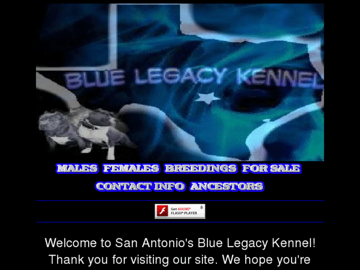 www.bluelegacykennel.com