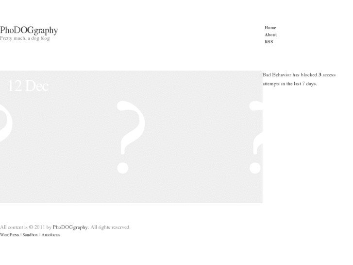 www.phodoggraphy.com