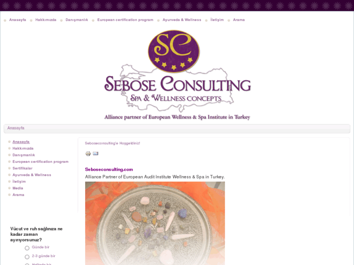 www.seboseconsulting.com