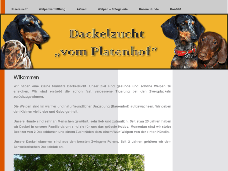 www.dackelvomplatenhof.com