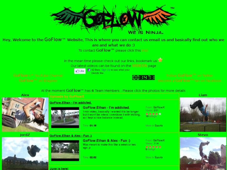 www.goflowx.com