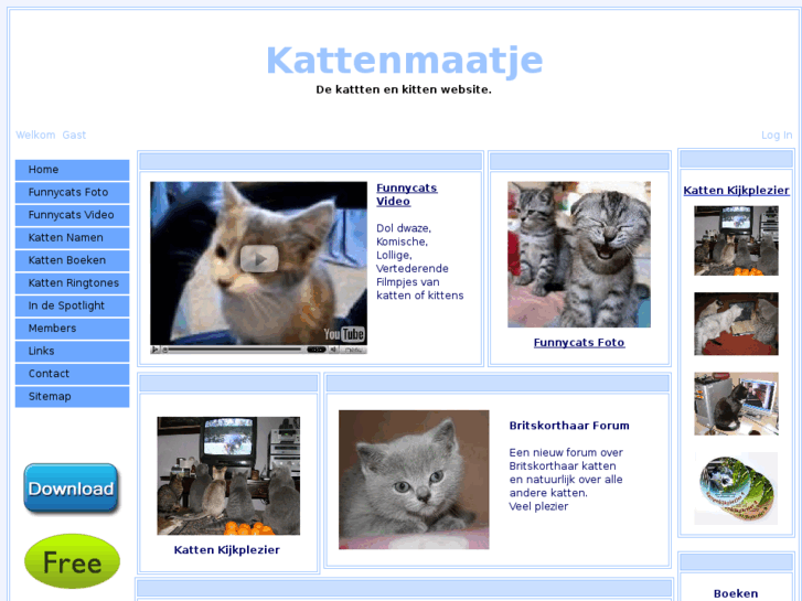 www.kattenmaatje.nl