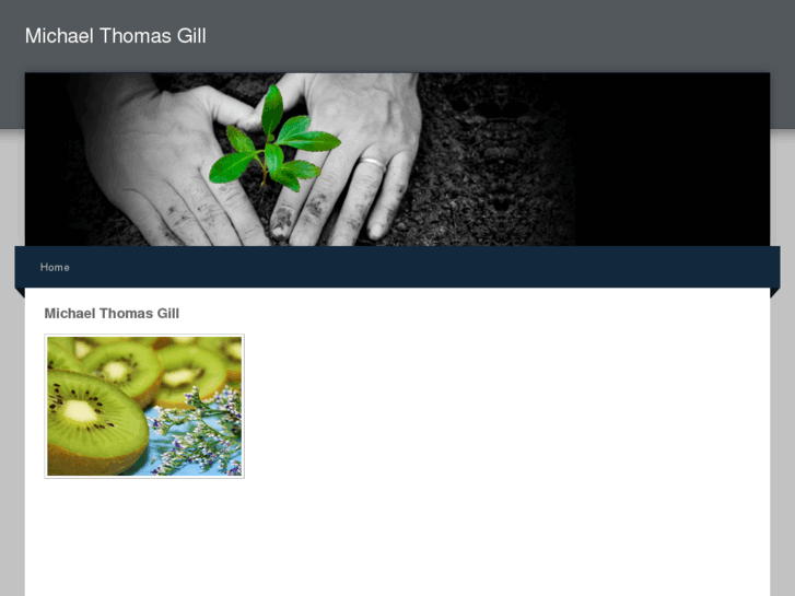 www.michaelthomasgill.com