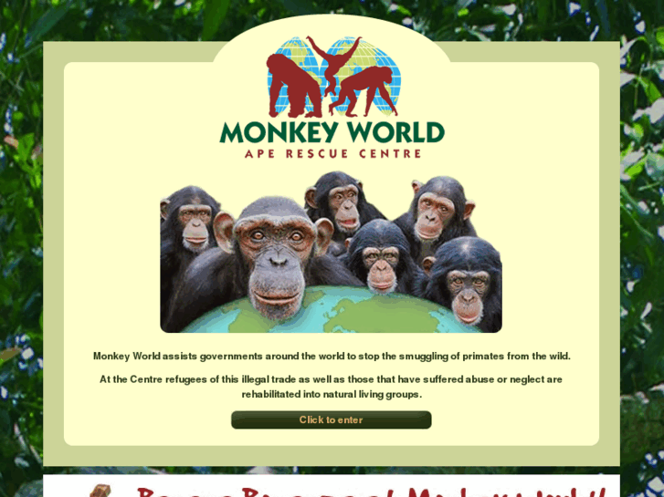www.monkeyworld.org
