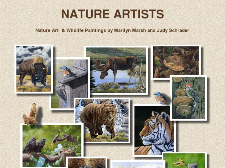 www.nature-artists.com