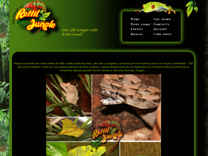 www.rettiljungle.com