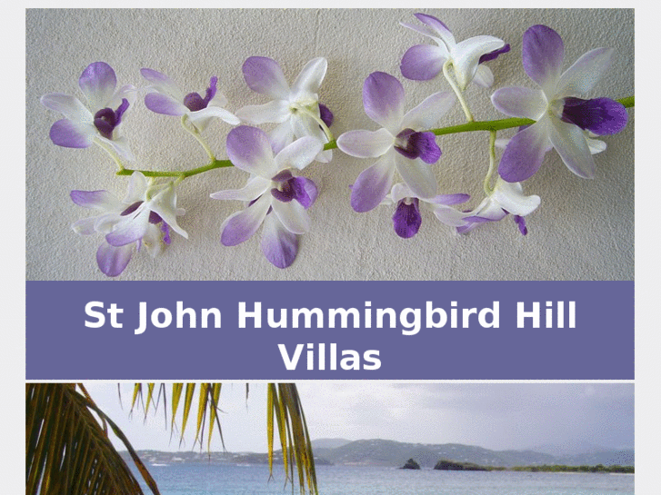 www.stjohnhummingbirdvillas.com