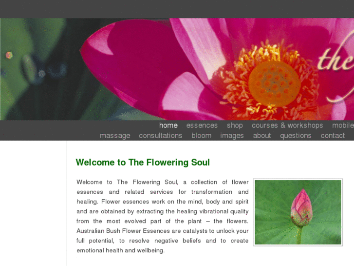 www.thefloweringsoul.com