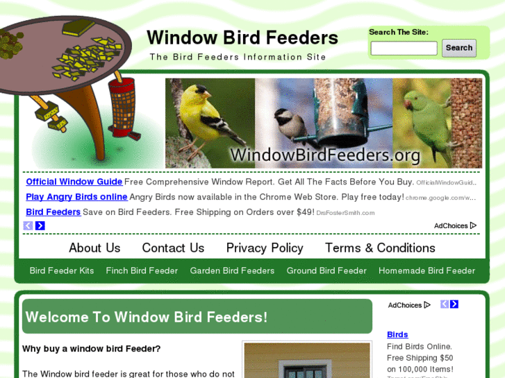 www.windowbirdfeeders.org