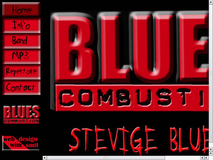 www.bluescombustion.com