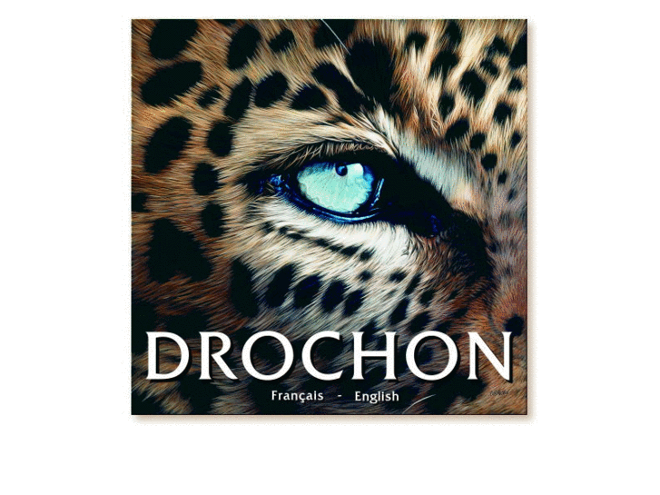 www.drochon.com