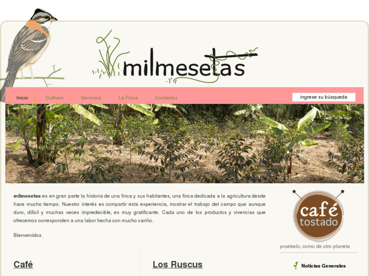 www.milmesetas.com