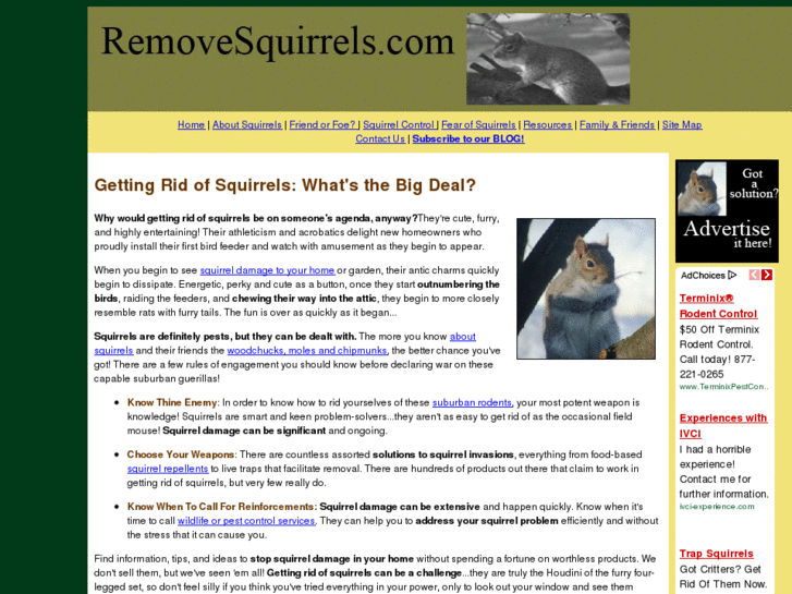 www.removesquirrels.com