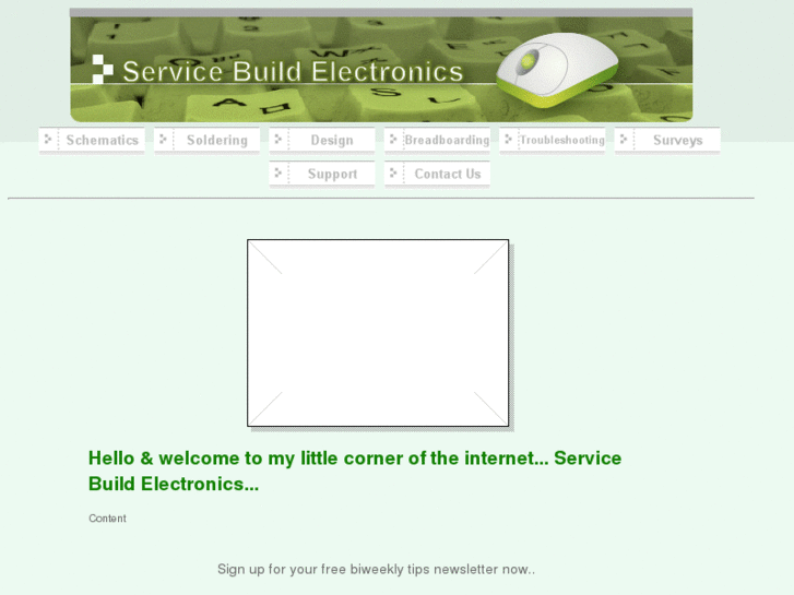 www.servicebuildelectronics.com
