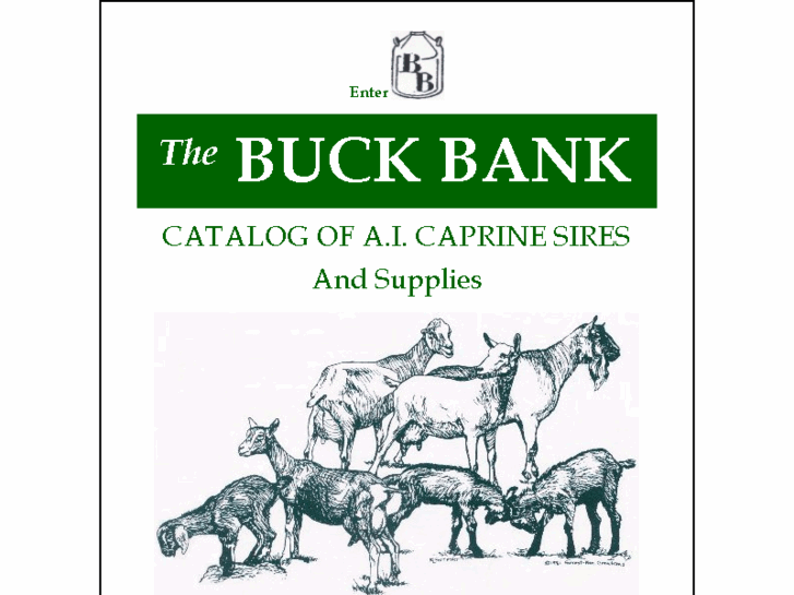 www.thebuckbank.com