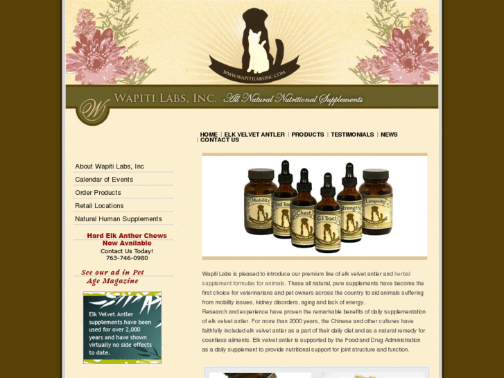 www.wapitilabs.com