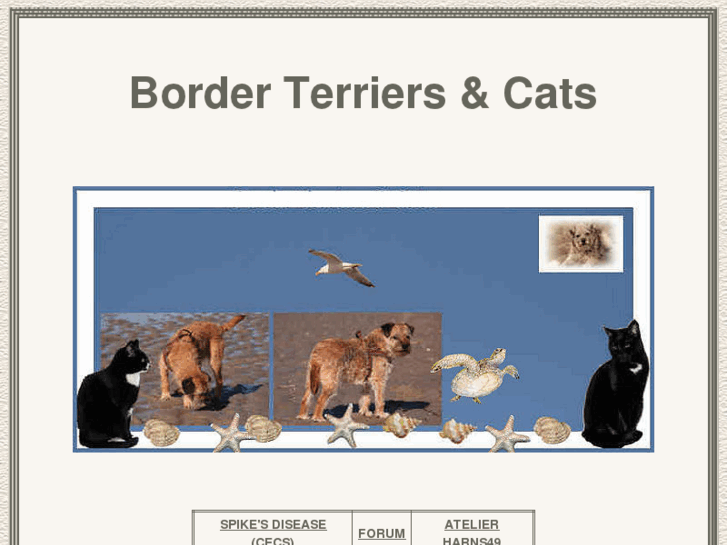 www.border-terriers.nl