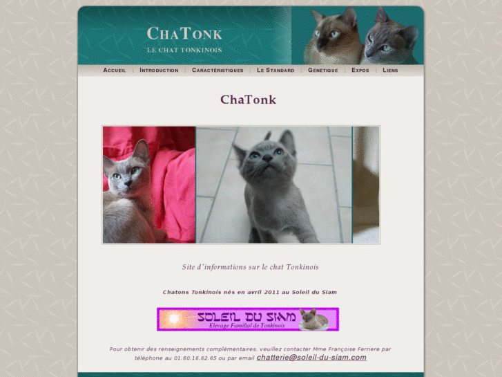 www.chatonk.com